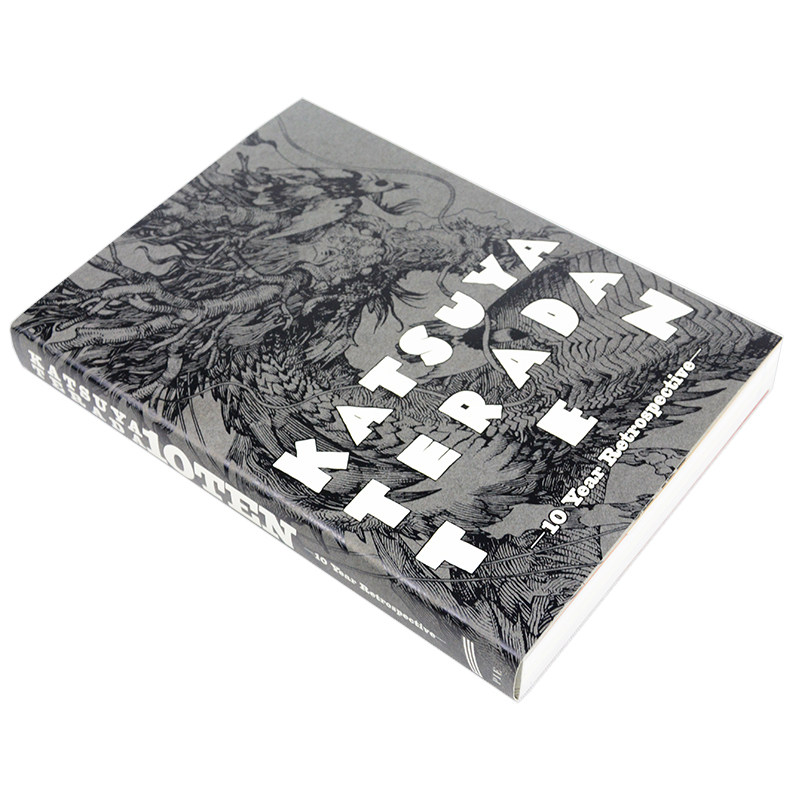 Katsuya Terada 10 Zehn-10 Jahr – Photography Book Bewertung und Preis